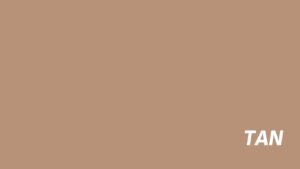 Tan XT3S66331 metal roofing color sample - 26 GA Metal Exteriors