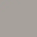 ash gray